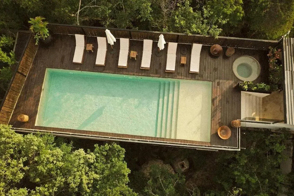 Penthouse In Tulum Apartment
