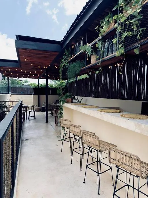 Penthouse In Tulum Apartment