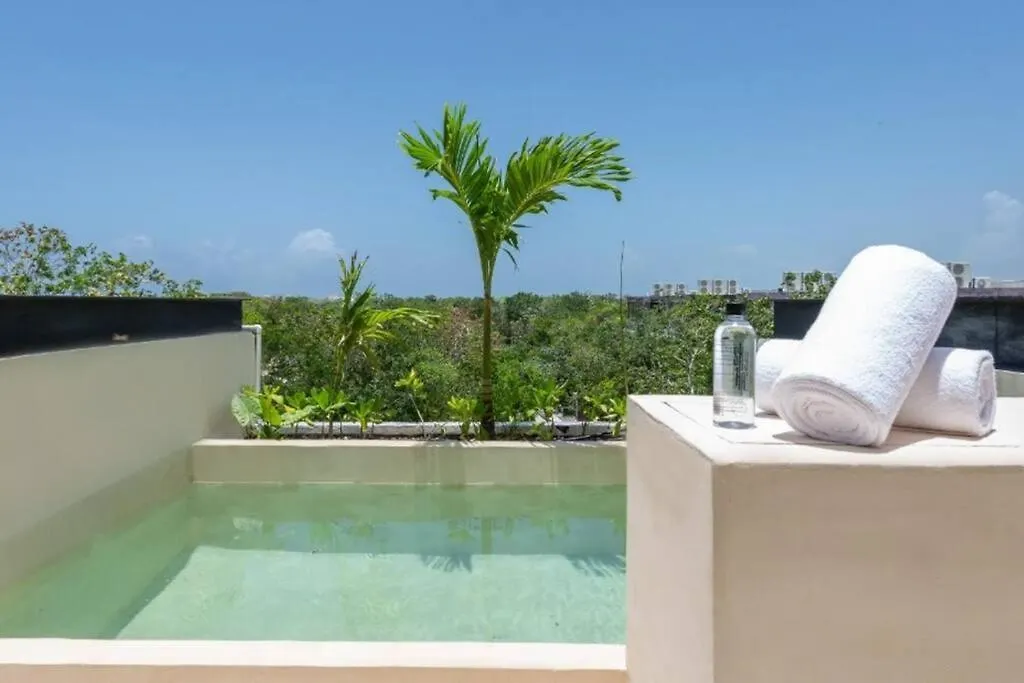 Penthouse In Tulum Apartment