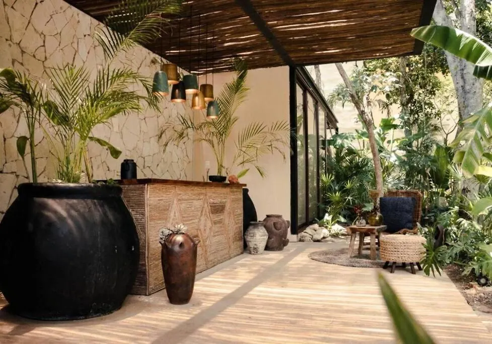 Penthouse In Tulum Apartment