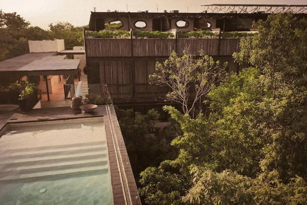 Penthouse In Tulum Apartment Mexico