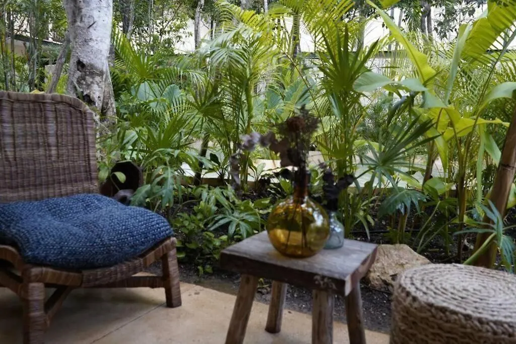 Penthouse In Tulum Apartment