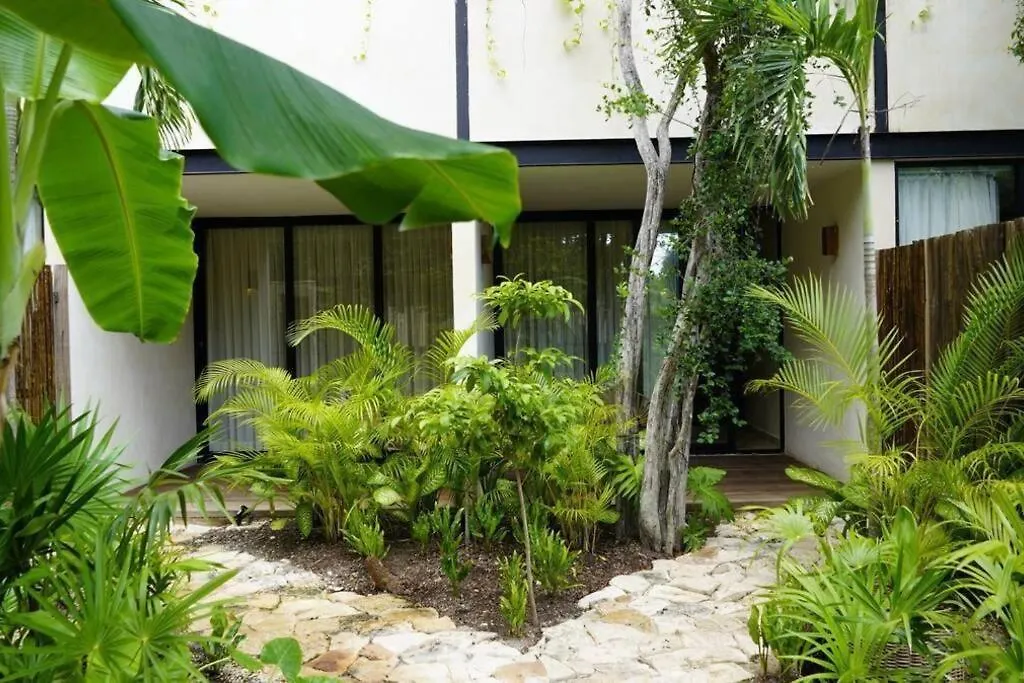Penthouse In Tulum Apartment 0*,