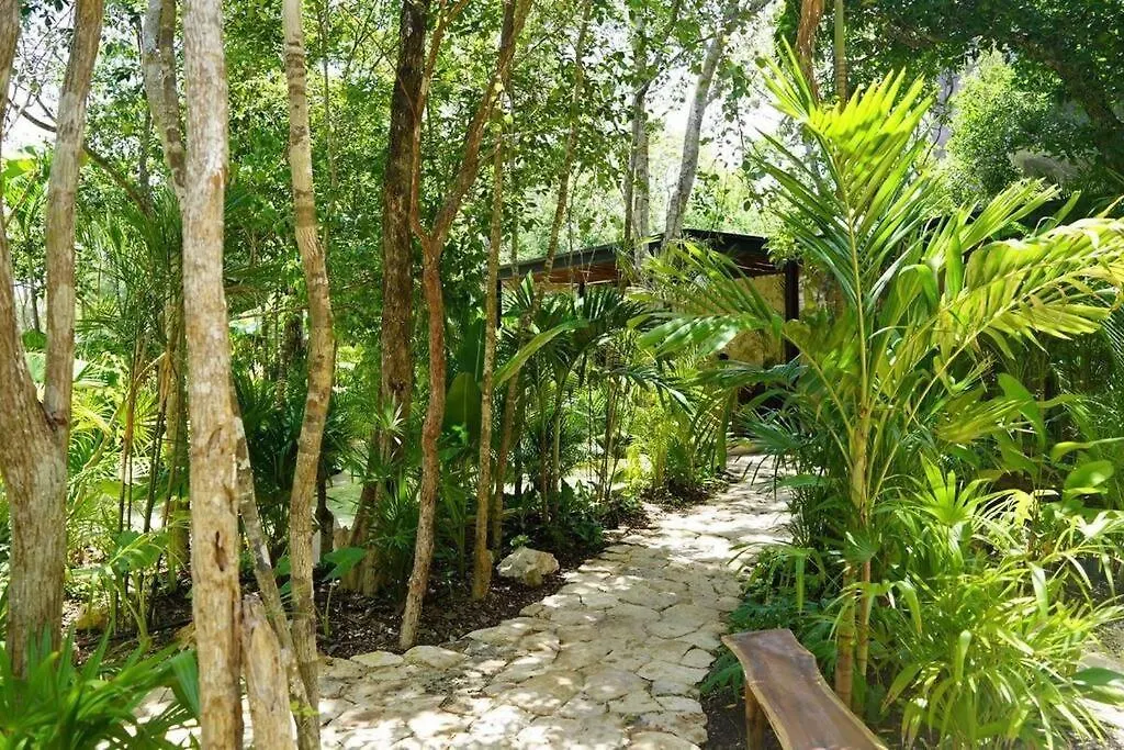 Penthouse In Tulum Apartment